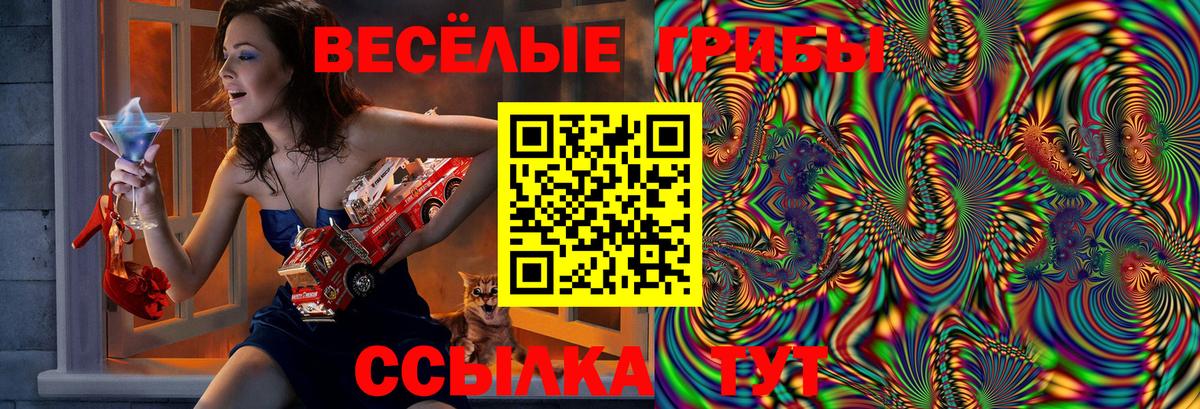 Псилоцибиновые грибы прущие грибы  Вход с VPN  Ульяновск 