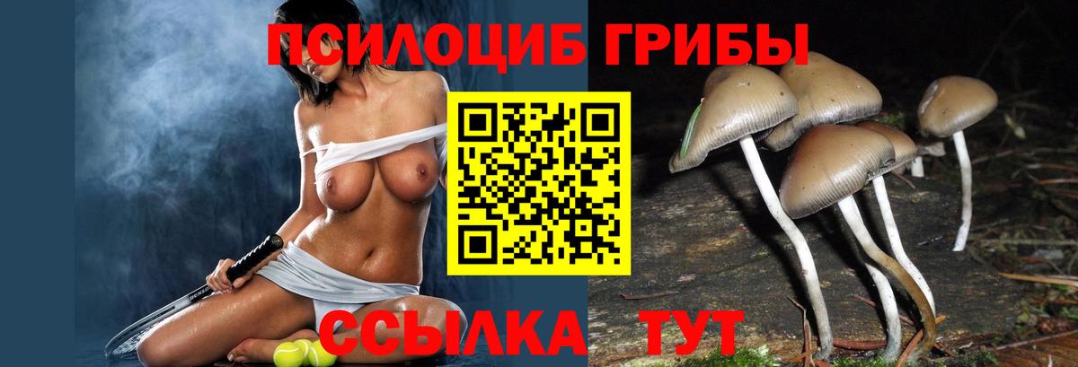 Галлюциногенные грибы Magic Shrooms Ульяновск
